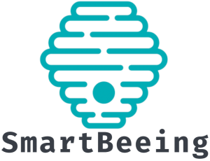 SmartBeeing Project